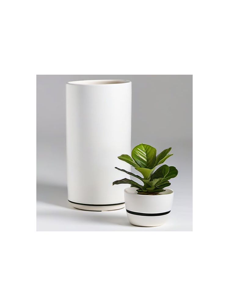 Indoor Fiddle Leaf Fig Planter Set - Compact